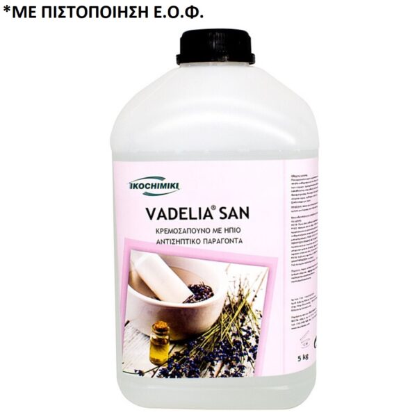 Vadelia San Απολυμαντικό Κρεμοσάπουνο 5Kg